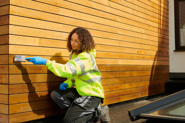 Best Historical Building Siding Restoration  in Crested Butte, CO